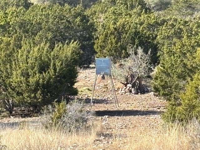 11943 Cr 310 Rocksprings Tx 78880 Rocksprings, TX 78880 - Photo 49 of 61 a view of a yard with large trees