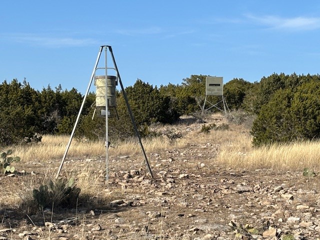 11943 Cr 310 Rocksprings Tx 78880 Rocksprings, TX 78880 - Photo 50 of 61