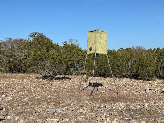 11943 Cr 310 Rocksprings Tx 78880 Rocksprings, TX 78880 - Photo 52 of 61 a view of a road with a tree in the background