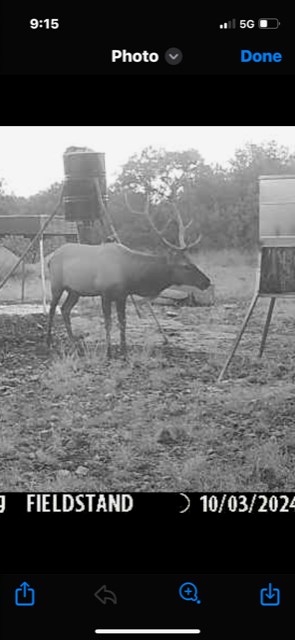 11943 Cr 310 Rocksprings Tx 78880 Rocksprings, TX 78880 - Photo 54 of 61 a view of a glass building