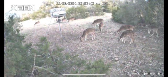 11943 Cr 310 Rocksprings Tx 78880 Rocksprings, TX 78880 - Photo 56 of 61