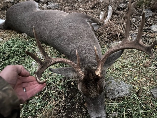 11943 Cr 310 Rocksprings Tx 78880 Rocksprings, TX 78880 - Photo 57 of 61