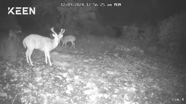 11943 Cr 310 Rocksprings Tx 78880 Rocksprings, TX 78880 - Photo 58 of 61