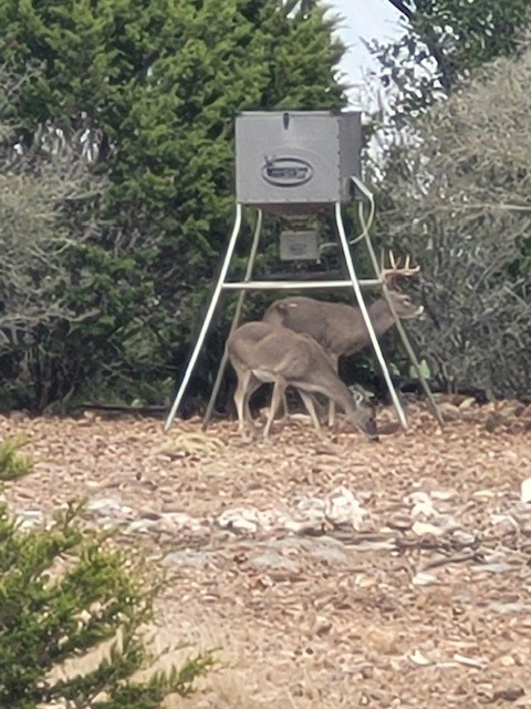 11943 Cr 310 Rocksprings Tx 78880 Rocksprings, TX 78880 - Photo 61 of 61 a wooden bench sitting in the middle of a yard