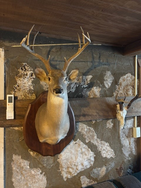 11943 Cr 310 Rocksprings Tx 78880 Rocksprings, TX 78880 - Photo 10 of 61 a view of a garage