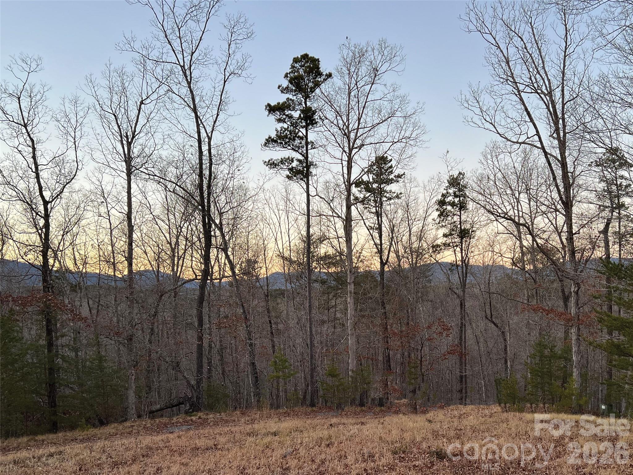 0 Shady Bark Lane, Unit 43 & #44 Rutherfordton, NC 28139 - Photo 21 of 38