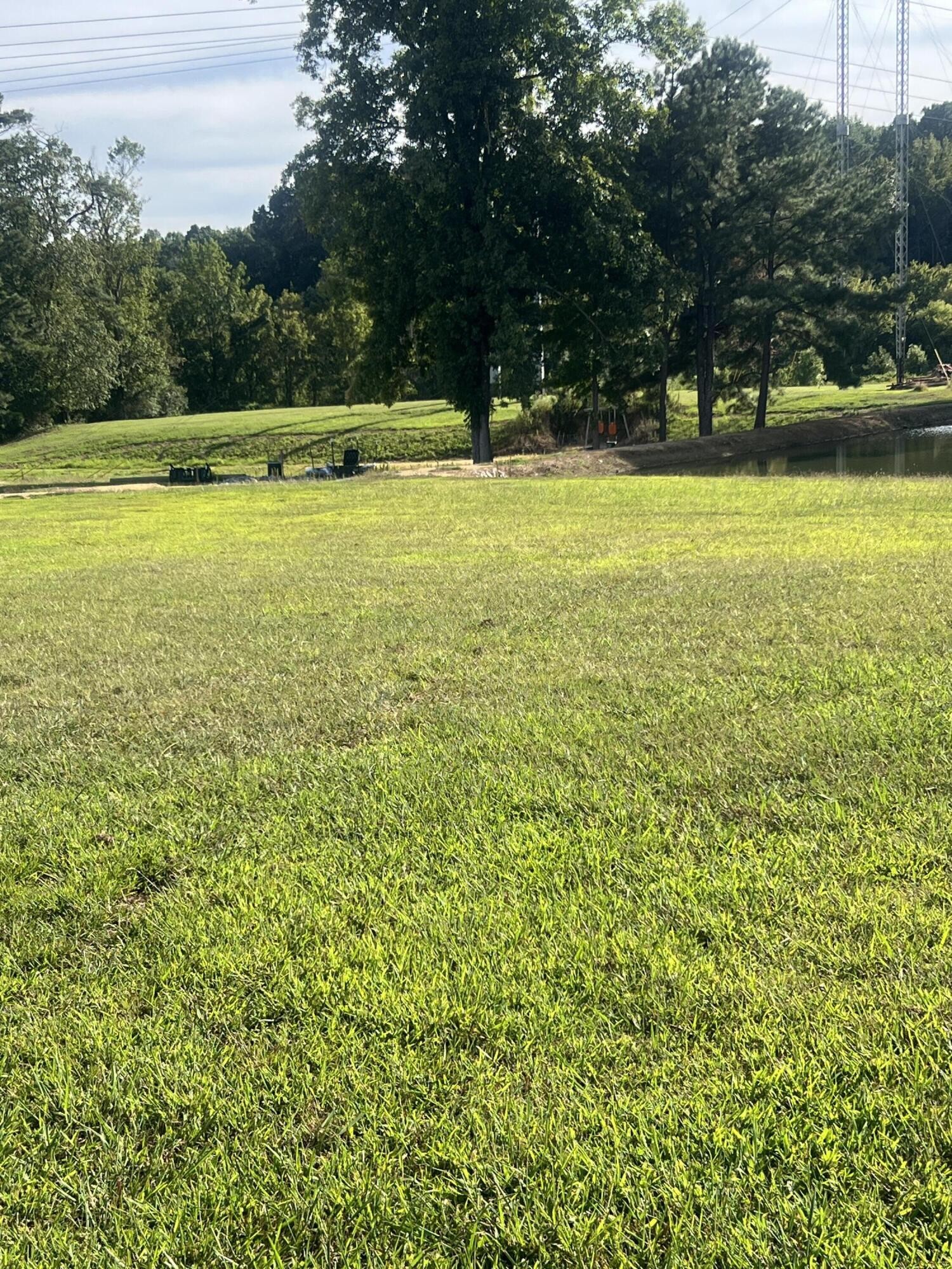 87 Peavine Road Rock Spring, GA 30739 - Photo 2 of 5 a view of a large yard with large trees