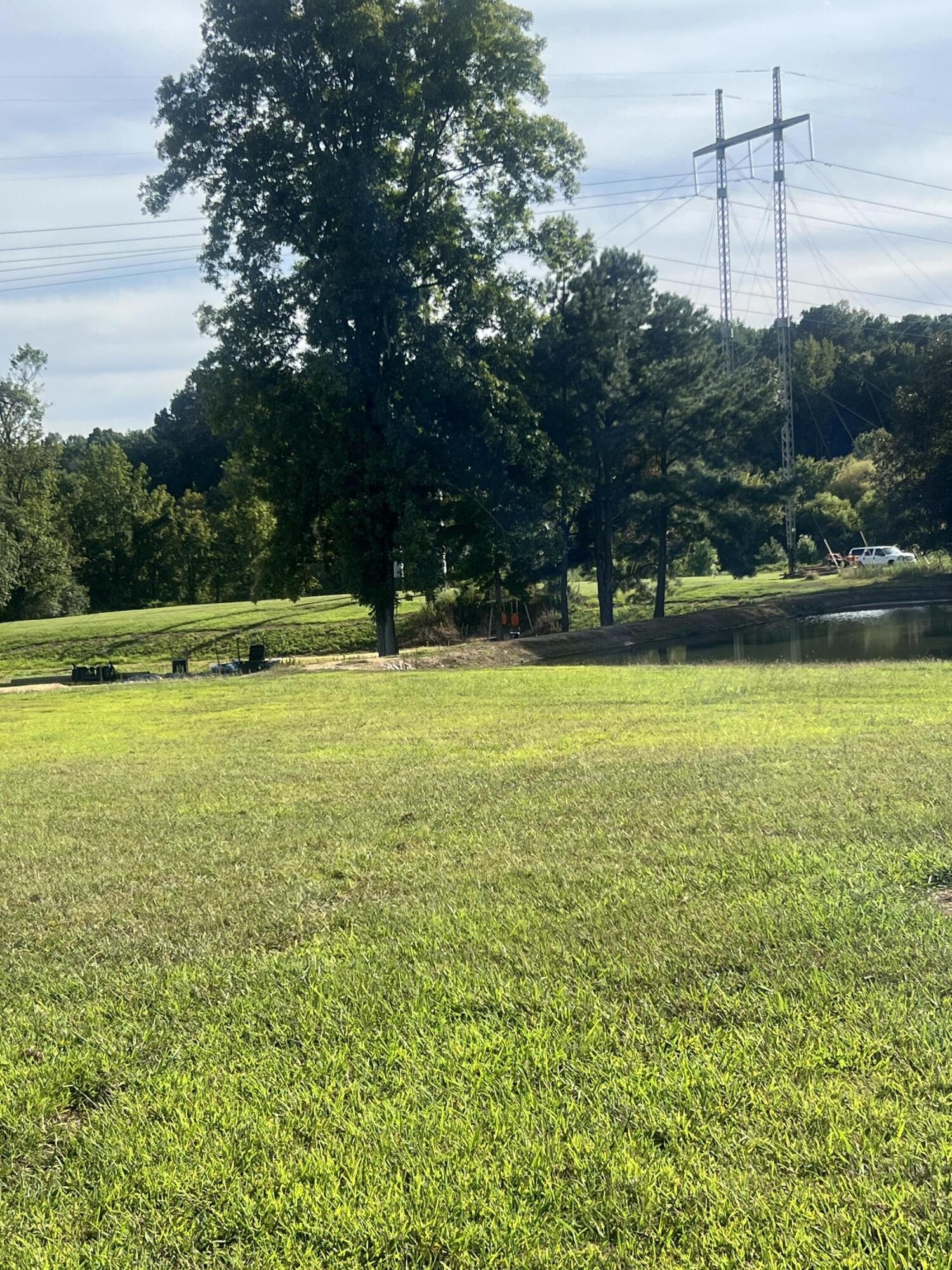 87 Peavine Road Rock Spring, GA 30739 - Photo 3 of 5 a view of a large yard with a large trees