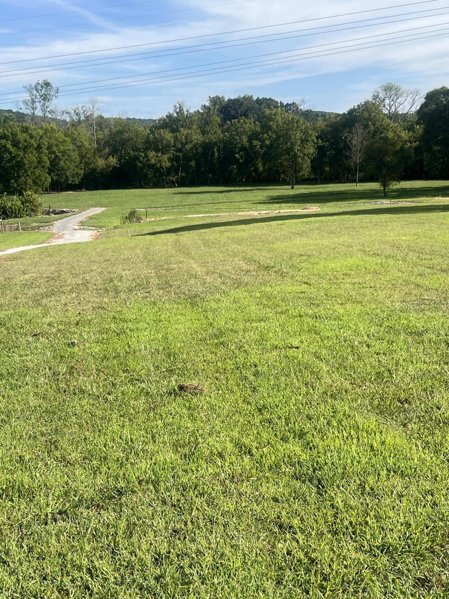 87 Peavine Road Rock Spring, GA 30739 - Photo 4 of 5 a view of an outdoor space and a yard