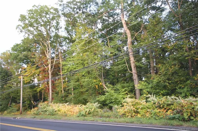 a backyard of a house with lots of plants and wooden fence