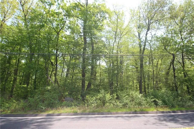 a view of a yard with plants