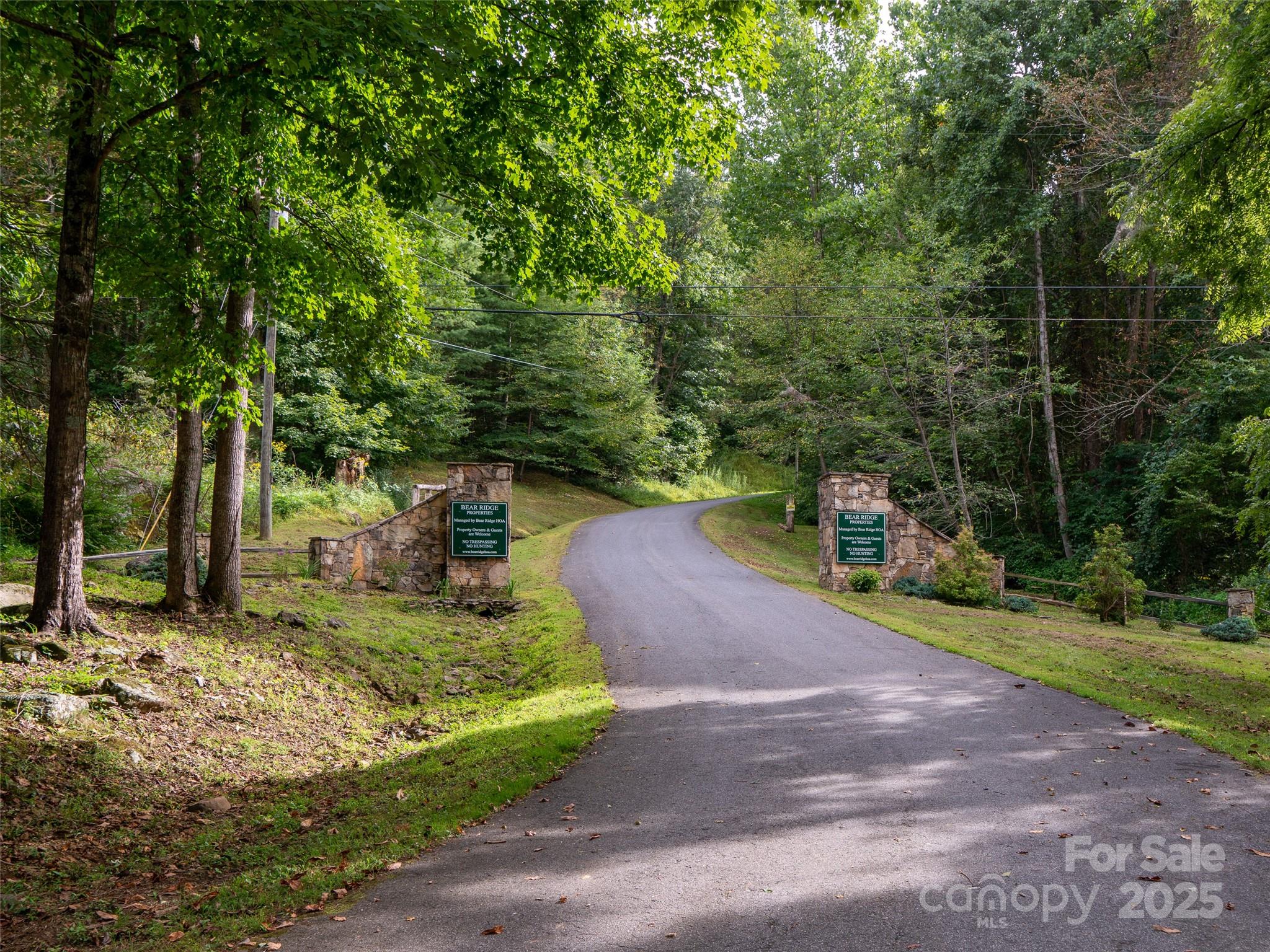 0 Grace Ridge Road, Unit 1922 Bakersville, NC 28705 - Photo 3 of 13 a view of a park with large trees