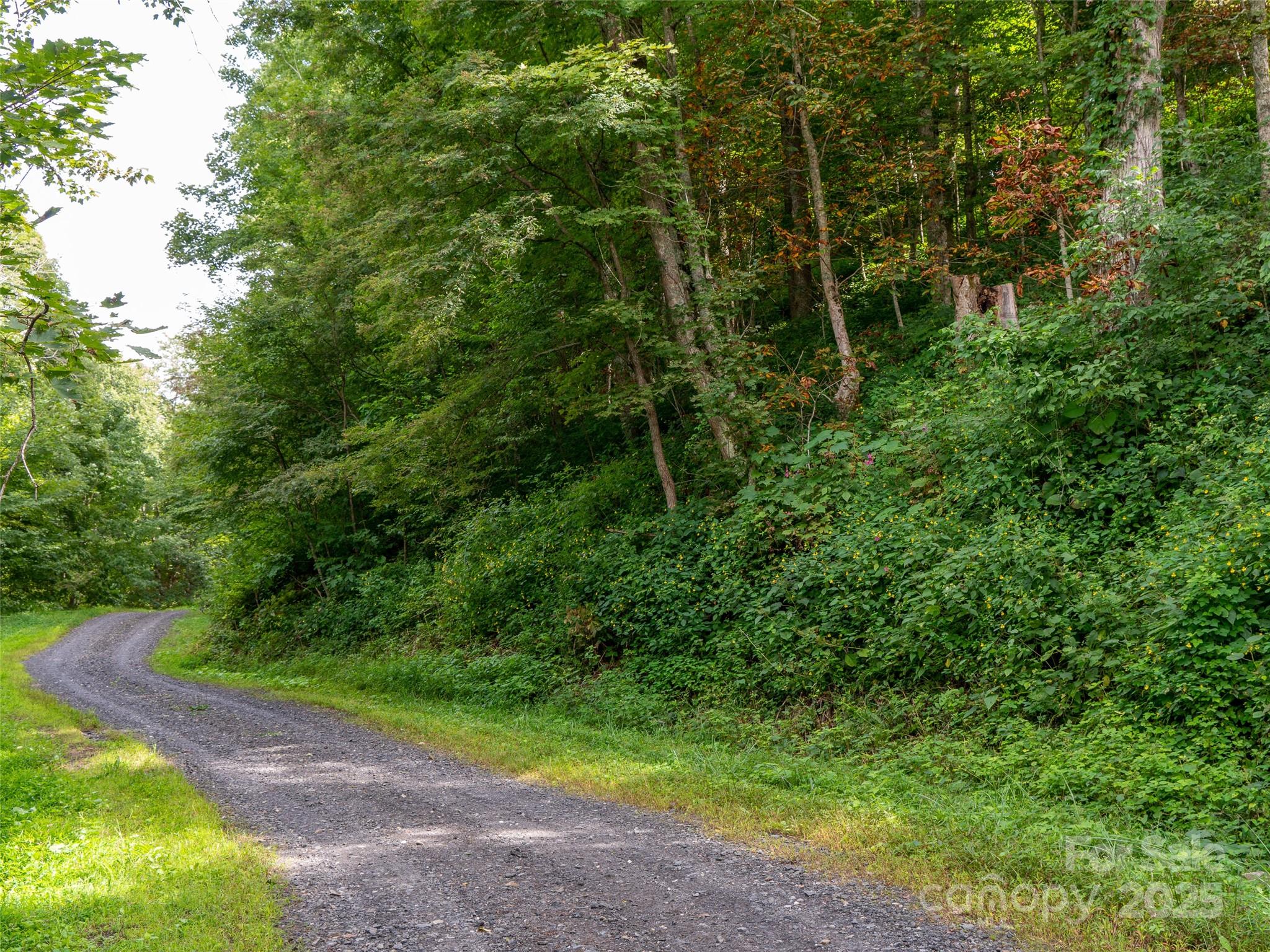 0 Grace Ridge Road, Unit 1922 Bakersville, NC 28705 - Photo 6 of 13 a view of a yard with plants and large trees