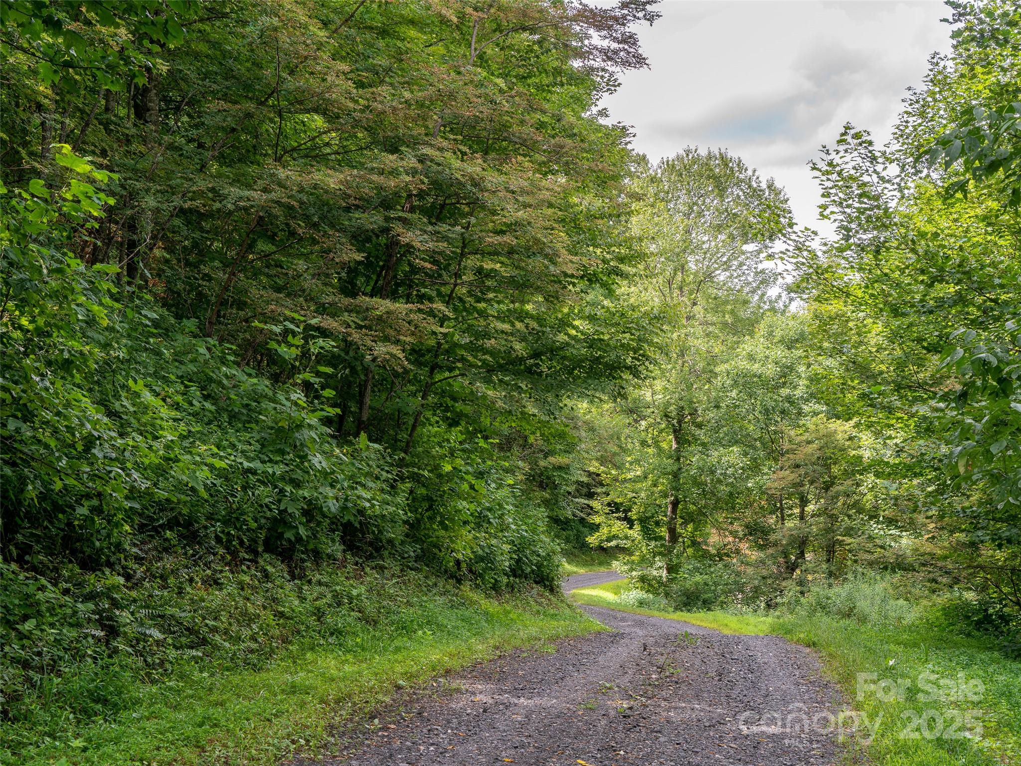 0 Grace Ridge Road, Unit 1922 Bakersville, NC 28705 - Photo 8 of 13 a view of a lush green forest