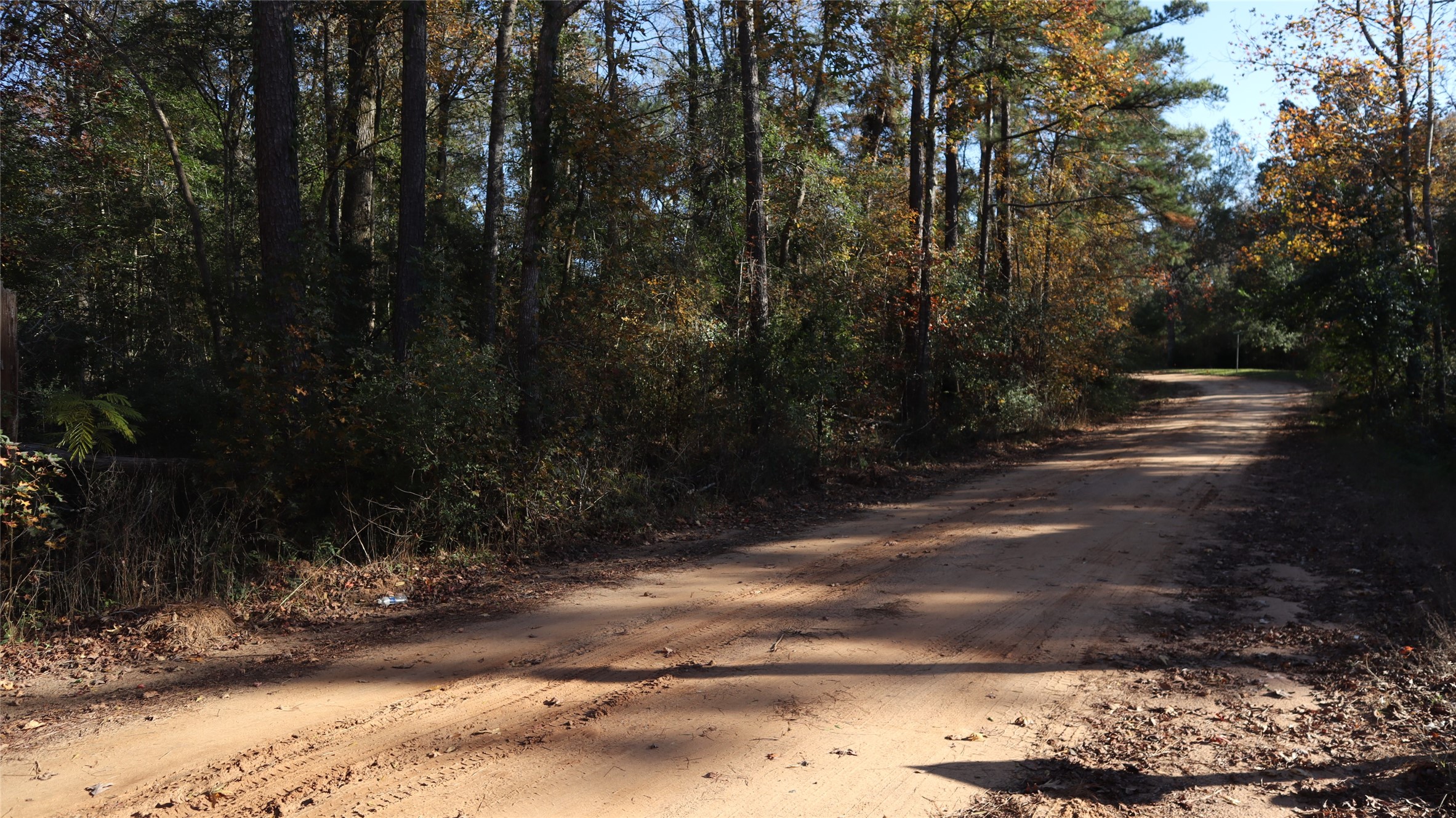 a view of a yard with wooden fence