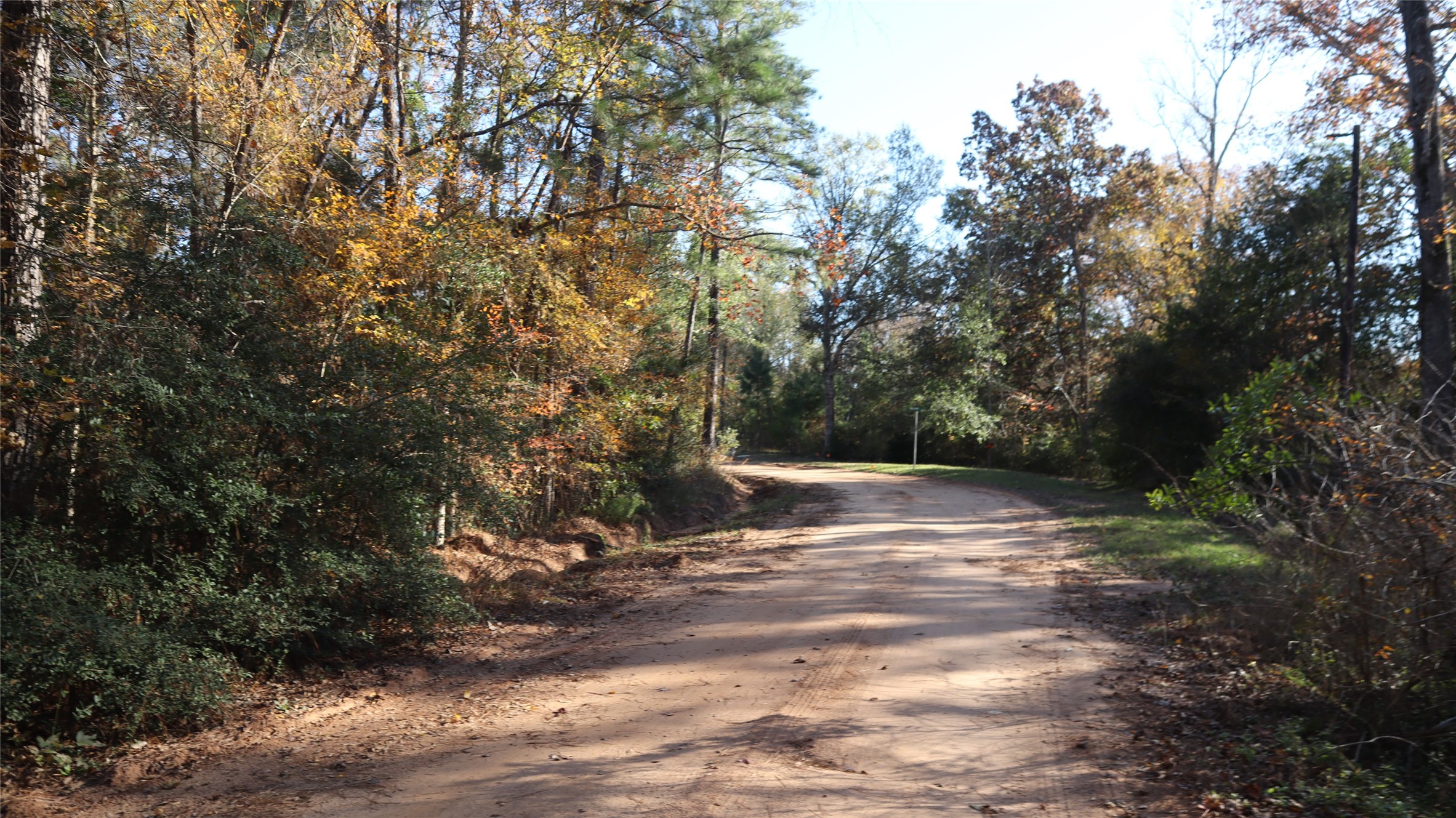 0 South Mallard Road Coldspring, TX 77331 - Photo 2 of 6 a view of a yard with large trees
