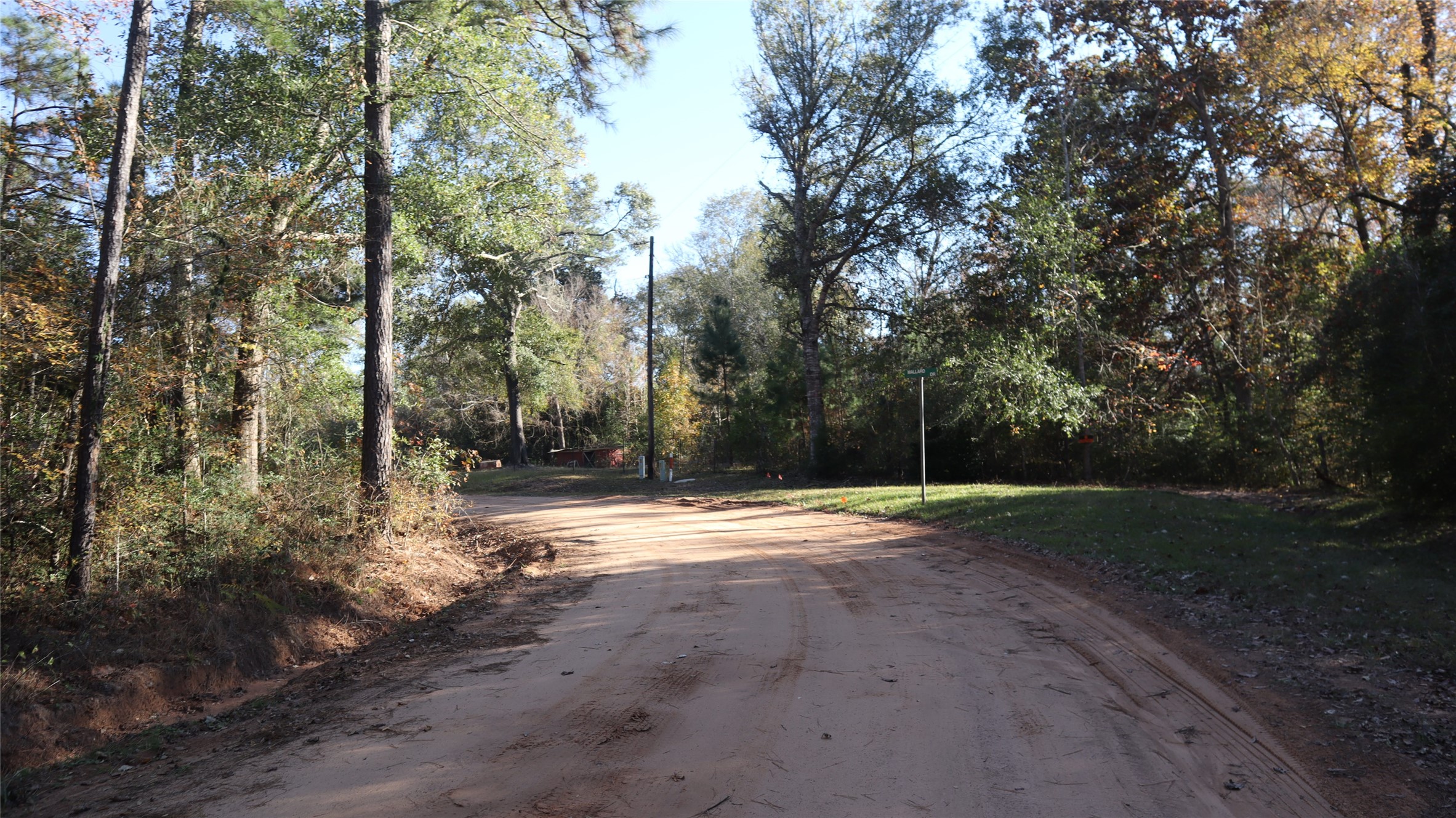 0 South Mallard Road Coldspring, TX 77331 - Photo 3 of 6 a view of a yard with trees