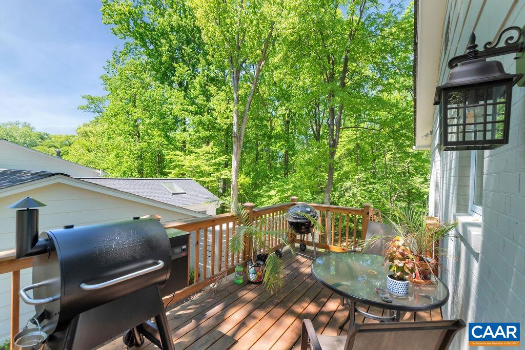 1607 Dublin Road Charlottesville, VA 22903 - Photo 18 of 49 Gallery Image 18