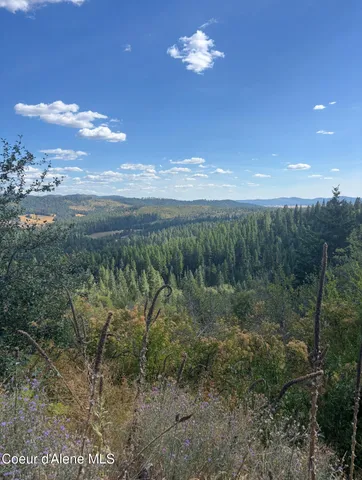 $290,000 | Nka Nka Treetop Lane, Plummer, ID 83851