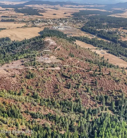 $290,000 | Nka Nka Treetop Lane, Plummer, ID 83851