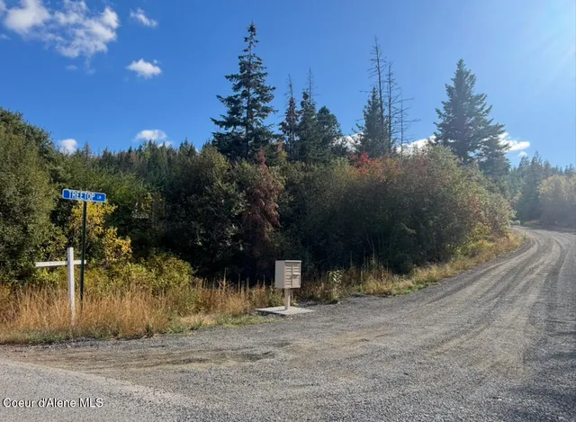 $290,000 | Nka Nka Treetop Lane, Plummer, ID 83851