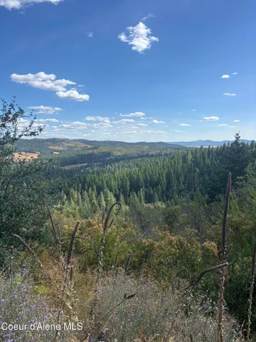 $290,000 | Nka Nka Treetop Lane, Plummer, ID 83851