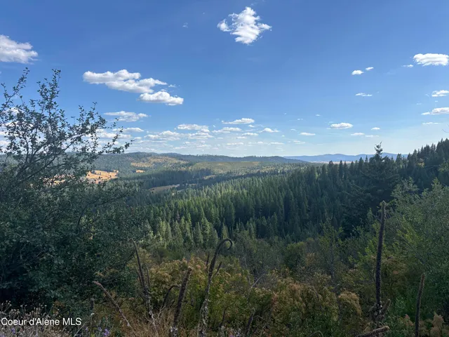 $290,000 | Nka Nka Treetop Lane, Plummer, ID 83851