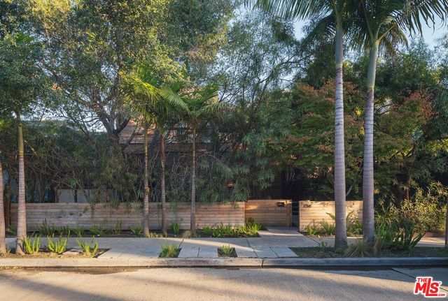 a view of a yard with potted plants and large trees