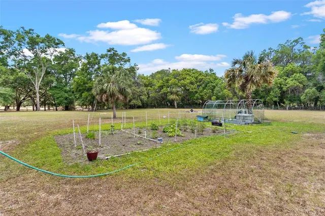 a view of a hallway with wooden floor and windows
