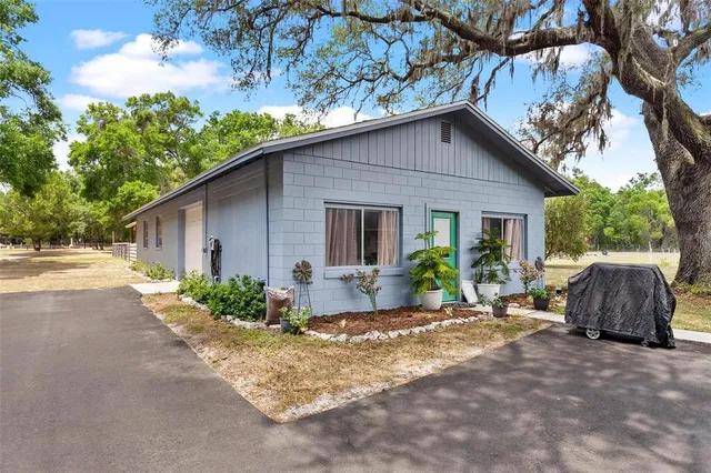 a view of backyard with trees