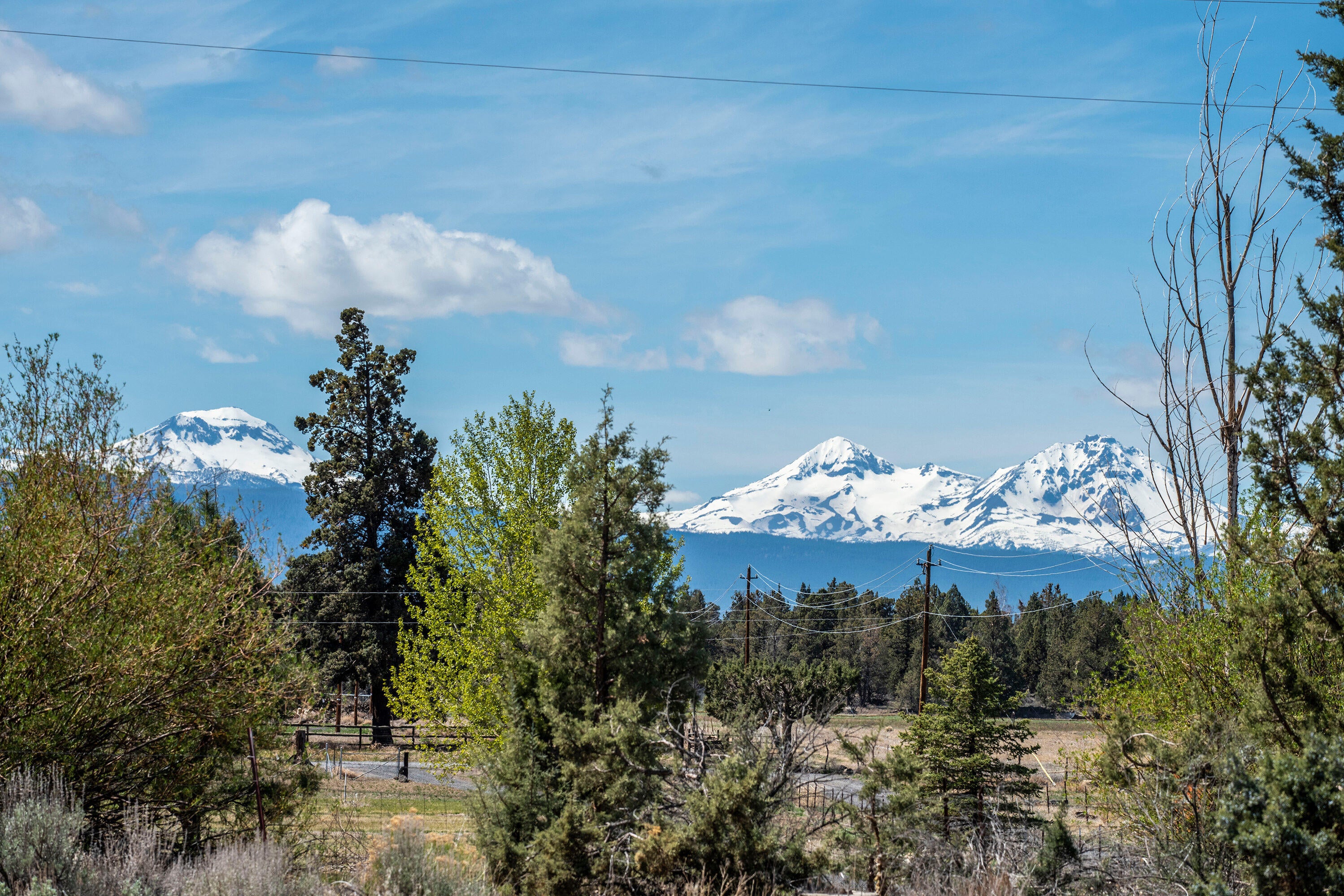63591 Gentry Loop Bend, OR 97701 - Photo 20 of 24 63591 Gentry Loop Bend OR-print-020-011-
