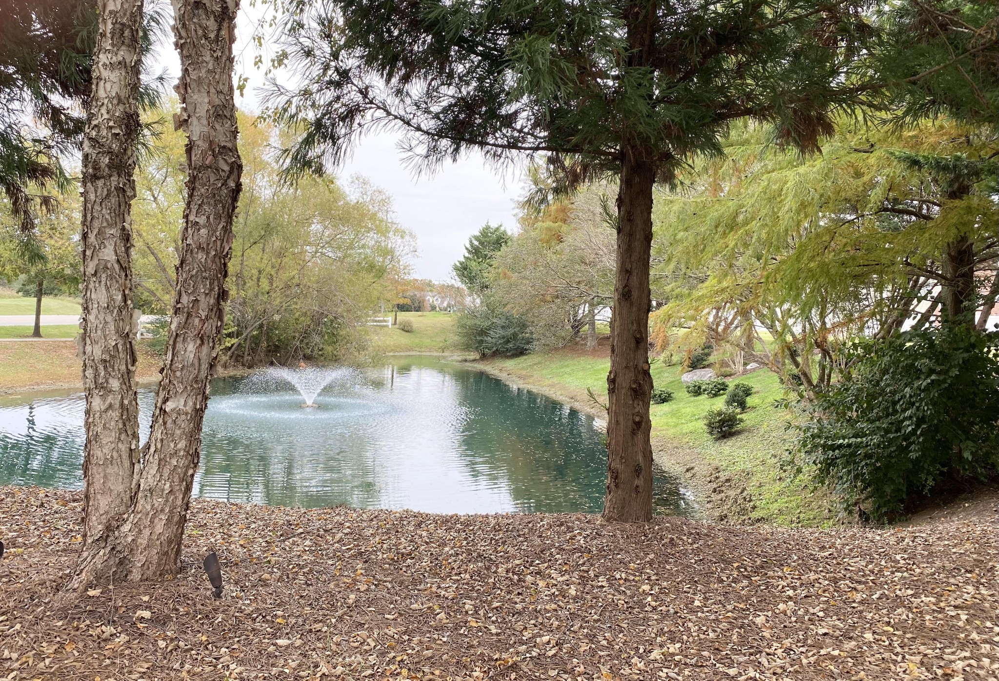 2018 Arum Court Spring Hill, TN 37174 - Photo 4 of 38 a view of a lake view