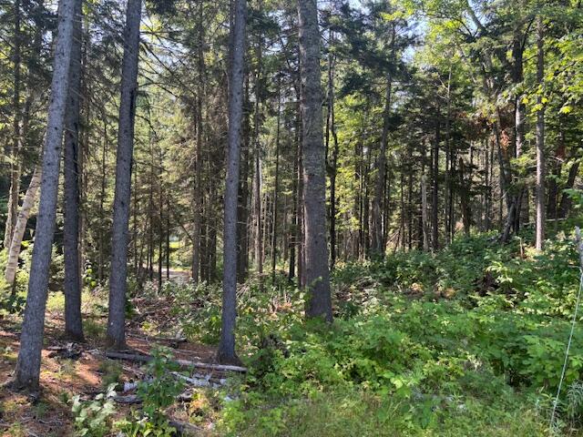 Lot 16 Rabbit Hollow Road Rangeley, ME 04970 - Photo 1 of 13 IMG_0074