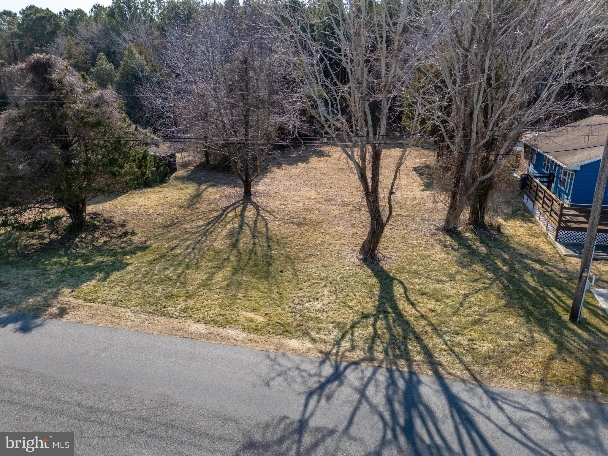 Salisbury Road Ocean City, MD 21842 - Photo 19 of 26 a view of yard along with trees