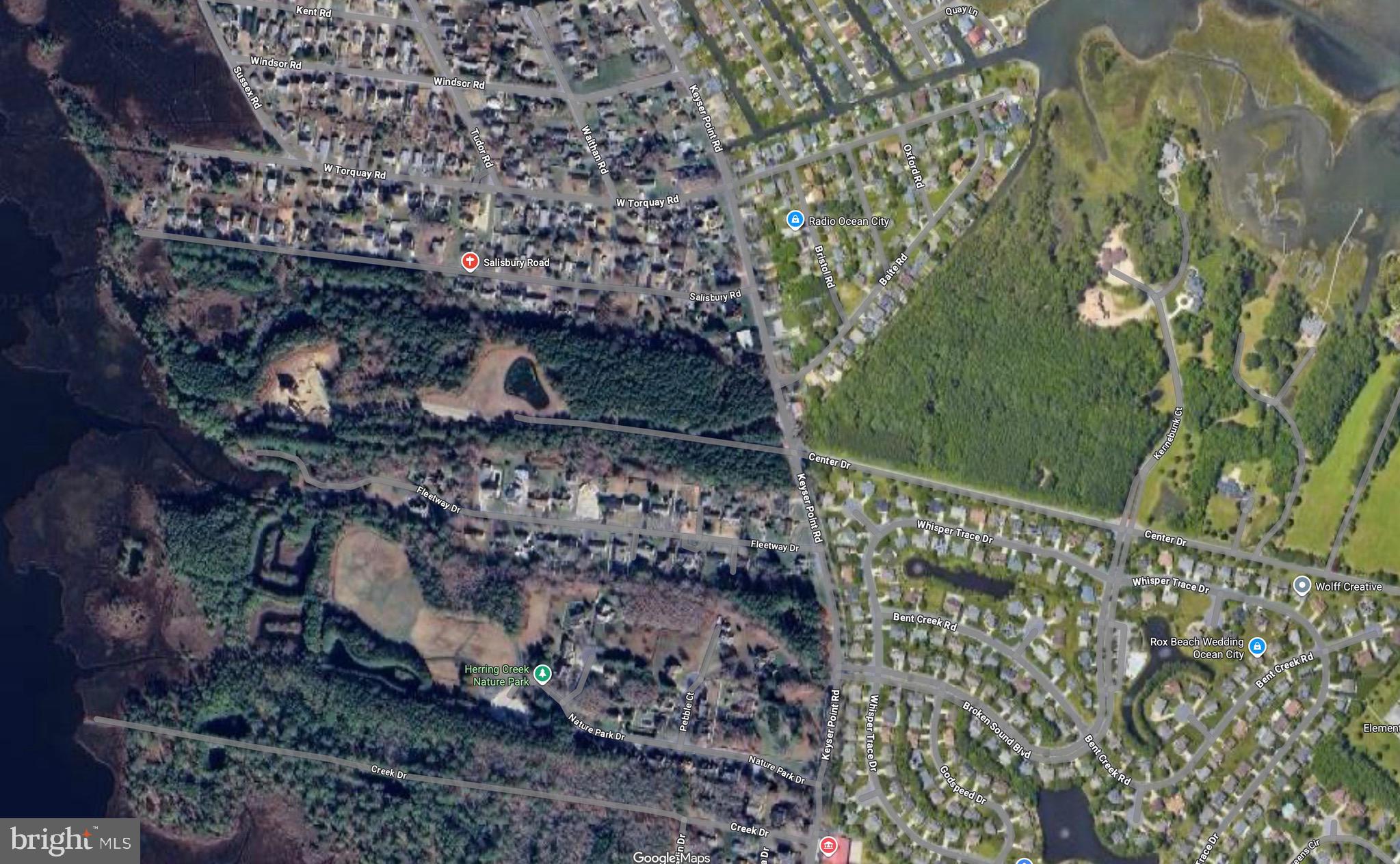 Salisbury Road Ocean City, MD 21842 - Photo 2 of 2 a view of a yard with plants and large trees