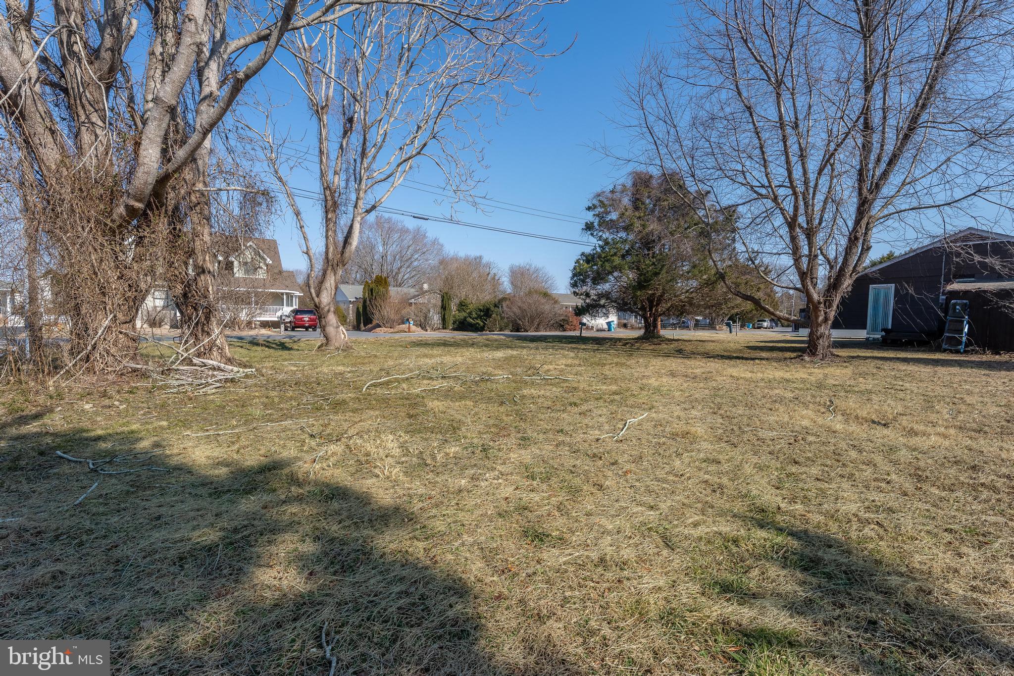 Salisbury Road Ocean City, MD 21842 - Photo 24 of 26 a view of a yard with a tree