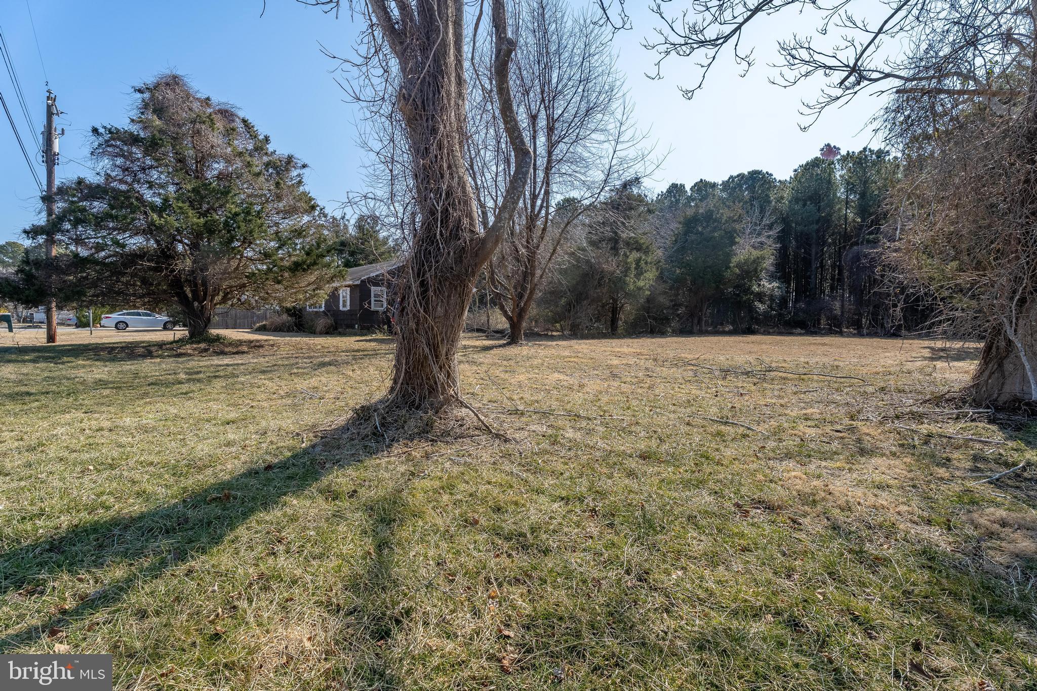 Salisbury Road Ocean City, MD 21842 - Photo 25 of 26 a view of outdoor space with trees