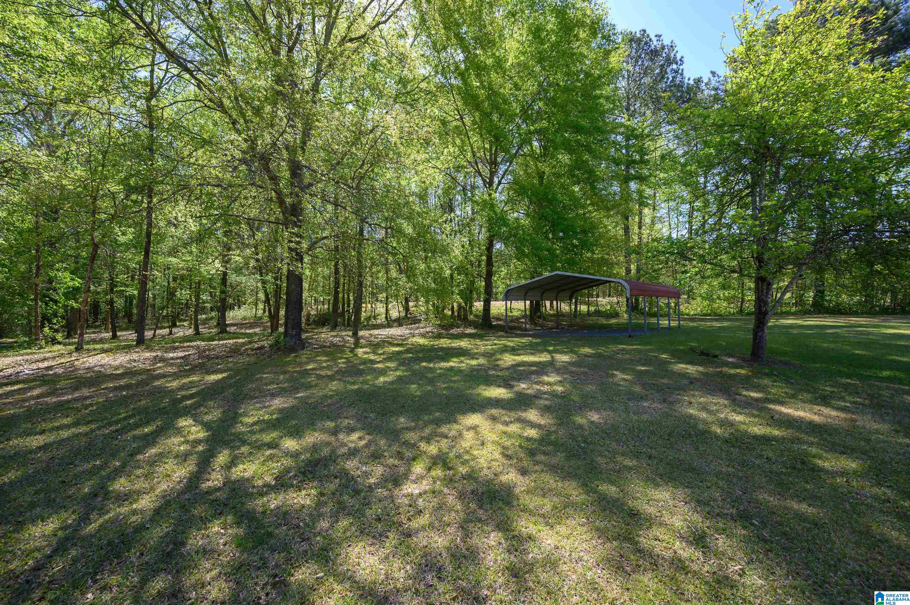 205 Beaver Ridge Circle Ashville, AL 35953 - Photo 46 of 61