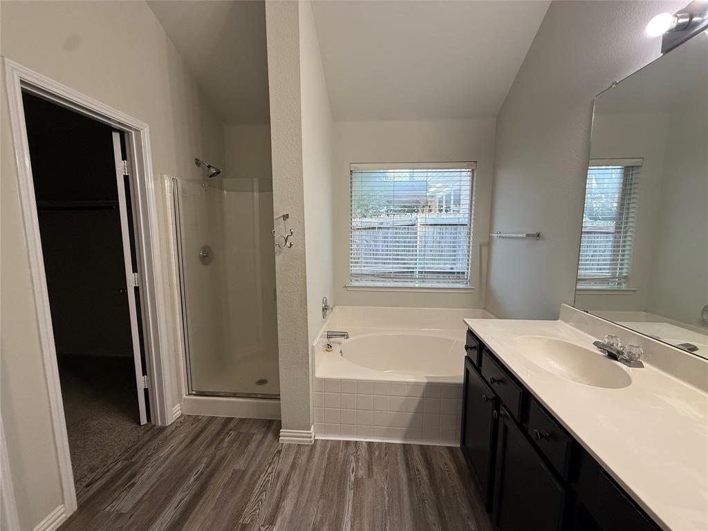 13252 Ridgepointe Road Fort Worth, TX 76244 - Photo 5 of 9 a bathroom with a sink a mirror and a bathtub