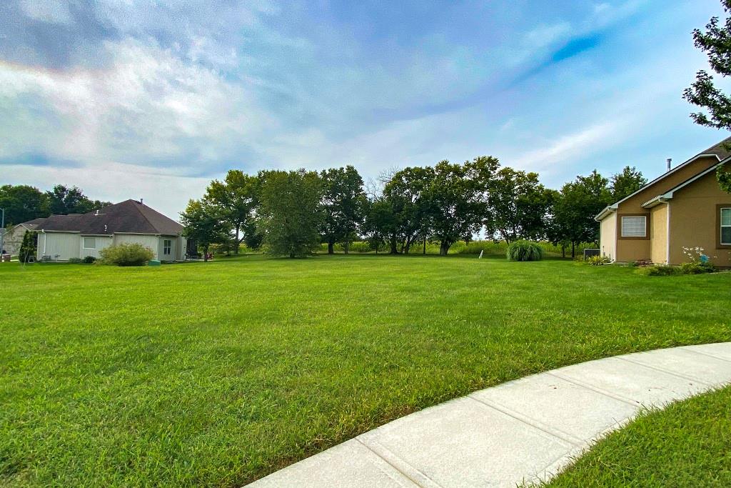 303 Crestview Court Raymore, MO 64083 - Photo 4 of 11