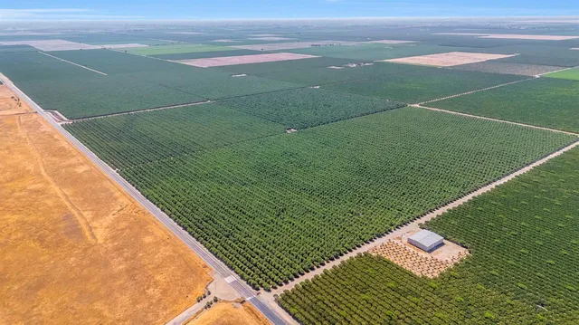 a view of a yard of a house