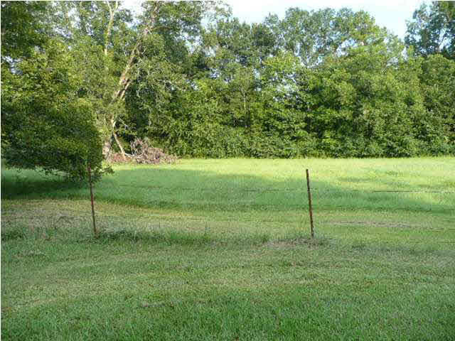 1712 Gunter Road Walnut Grove, MS 39189 - Photo 4 of 18 Photo 4