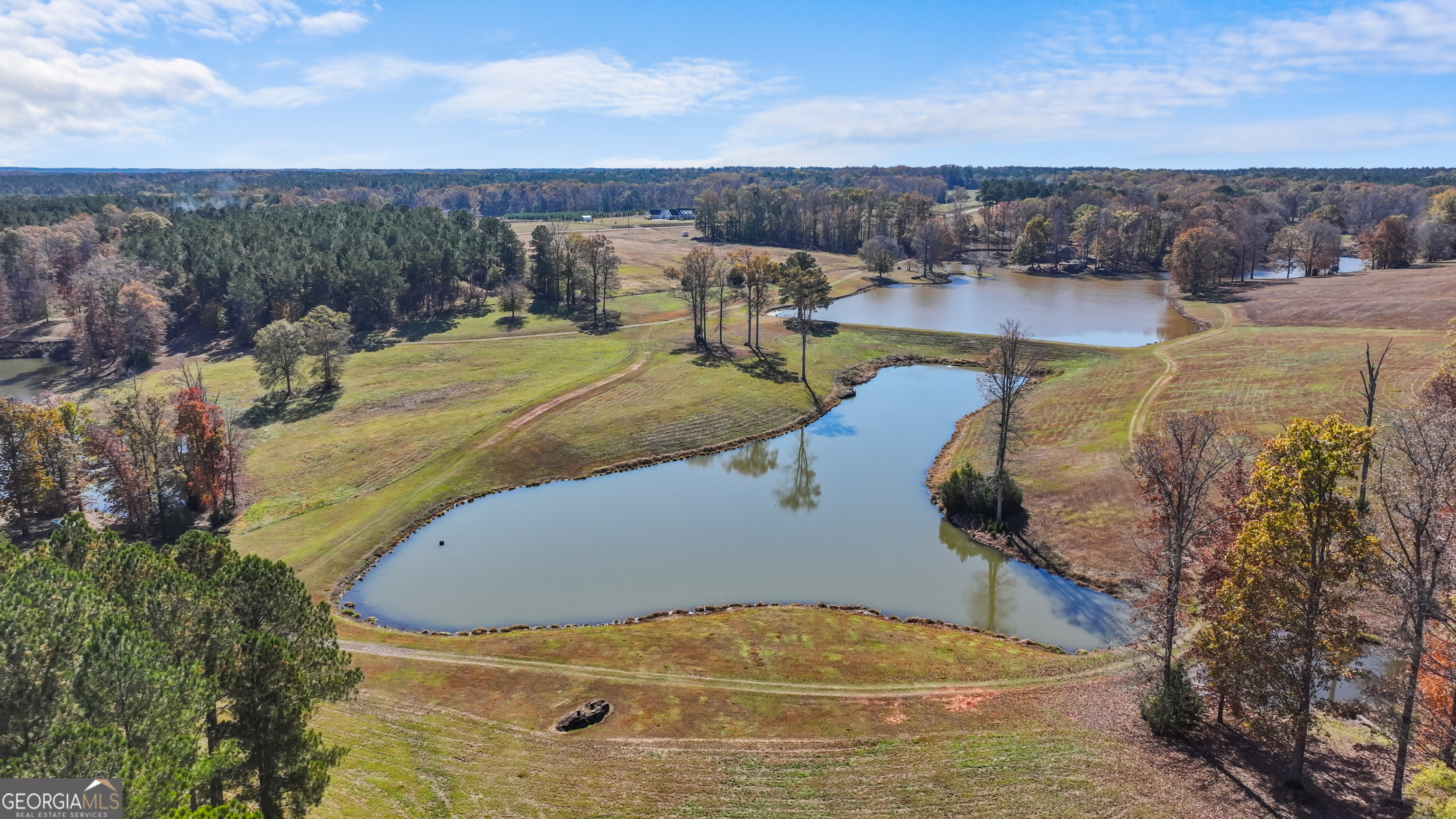 1390 Walker Road Madison, GA 30650 - Photo 15 of 64 a view of a swimming pool with a yard