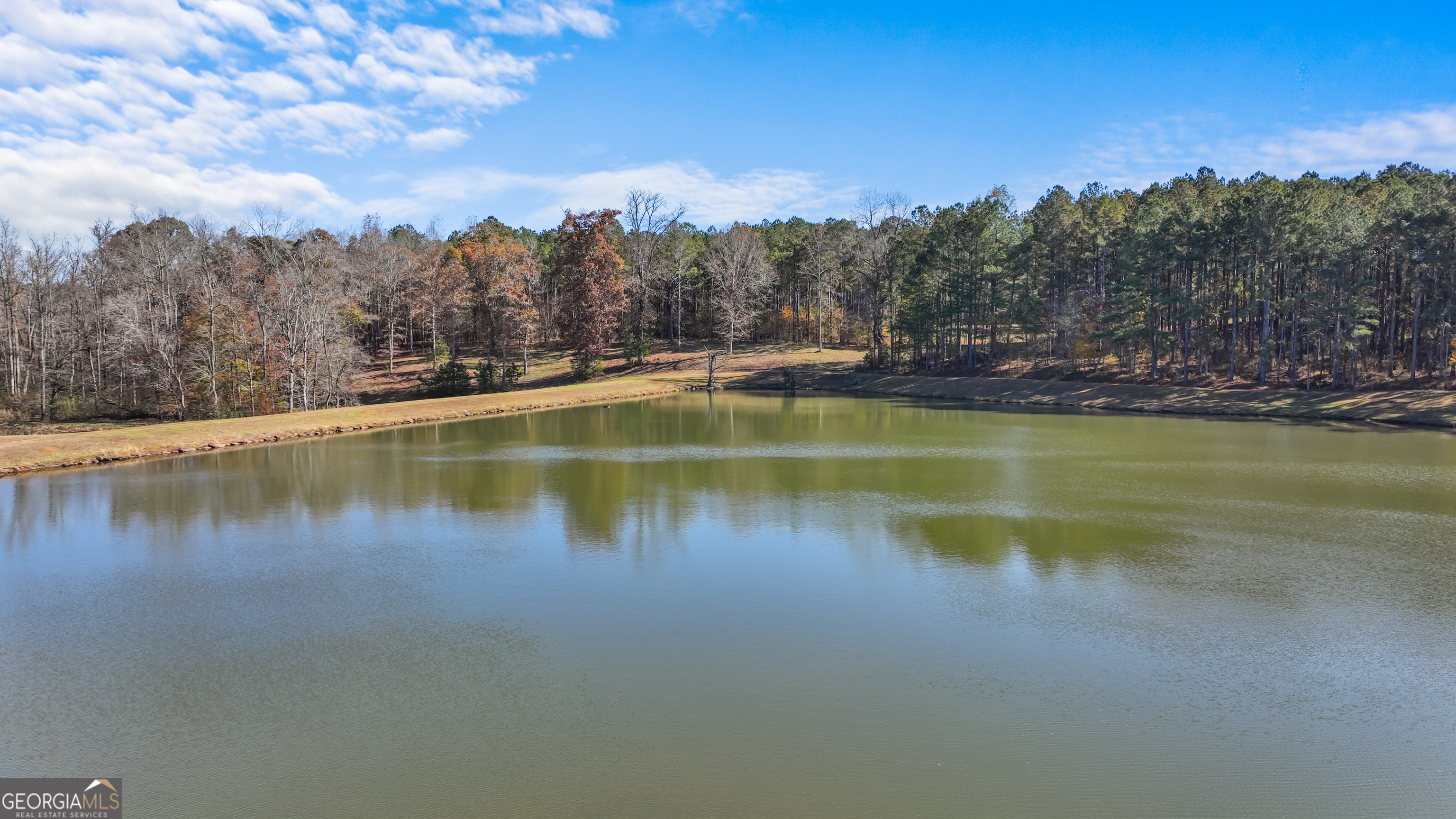 1390 Walker Road Madison, GA 30650 - Photo 17 of 64 a view of a lake with a mountain