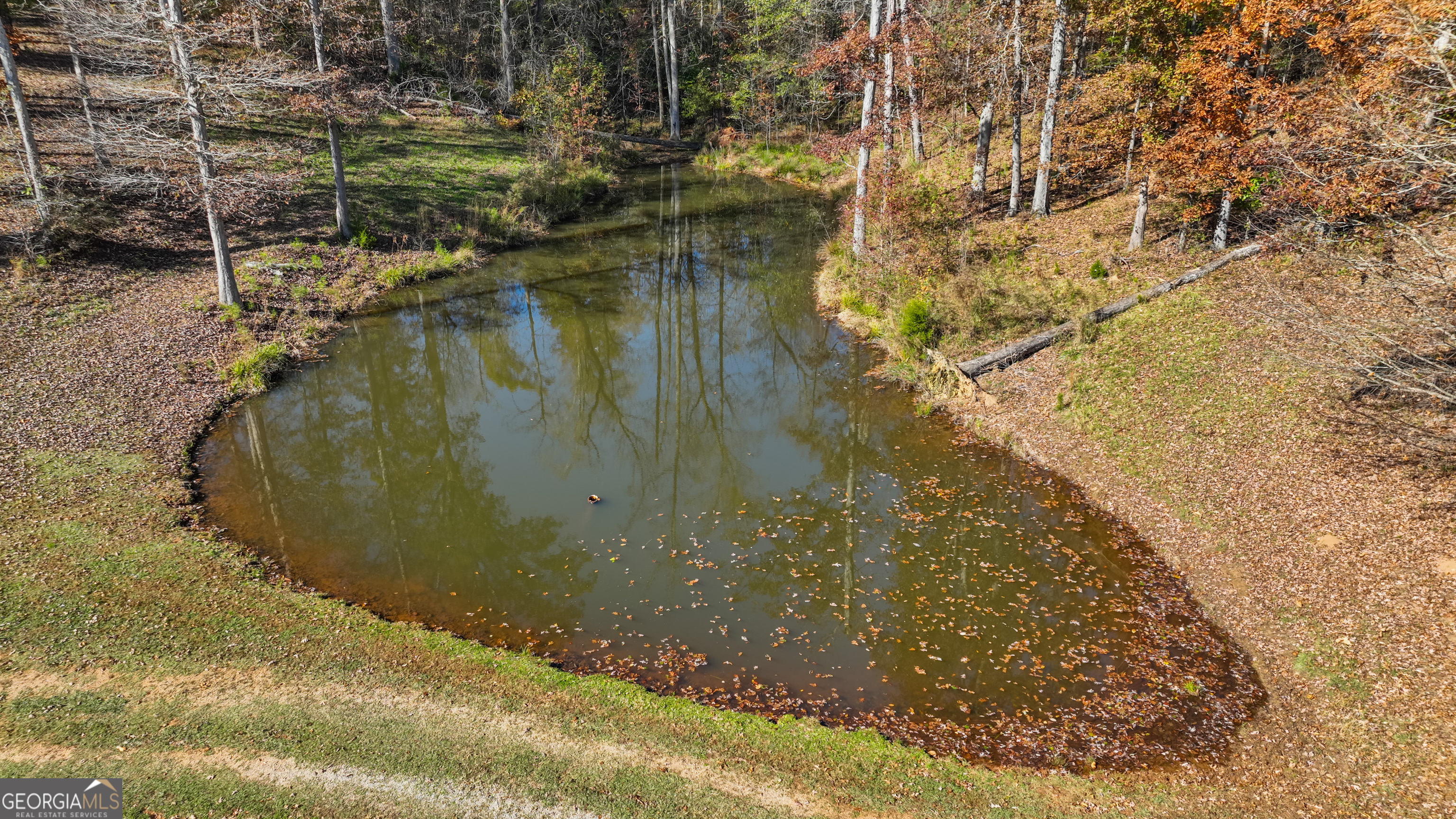 1390 Walker Road Madison, GA 30650 - Photo 19 of 64