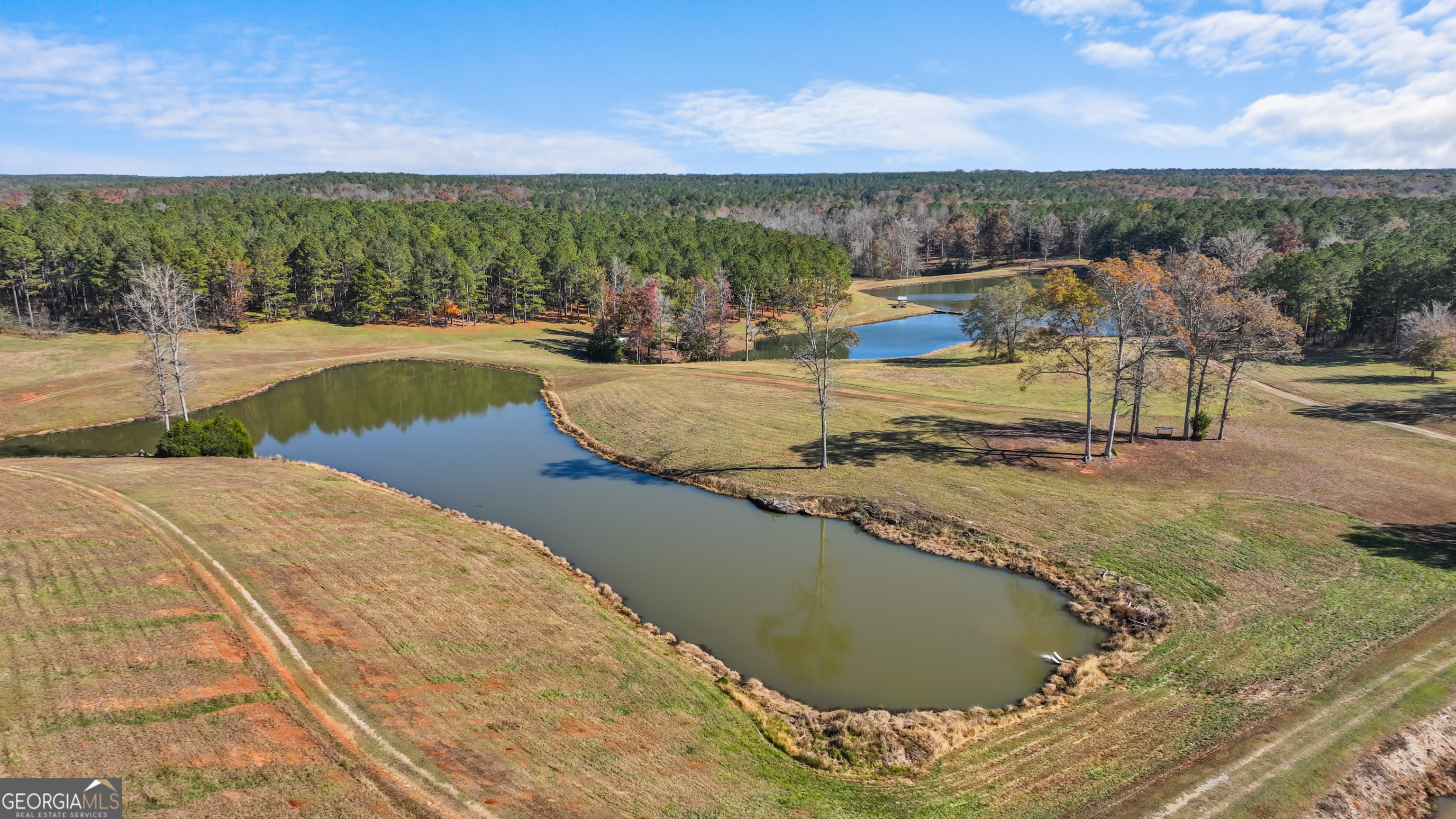 1390 Walker Road Madison, GA 30650 - Photo 22 of 64 a view of a swimming pool with an outdoor seating