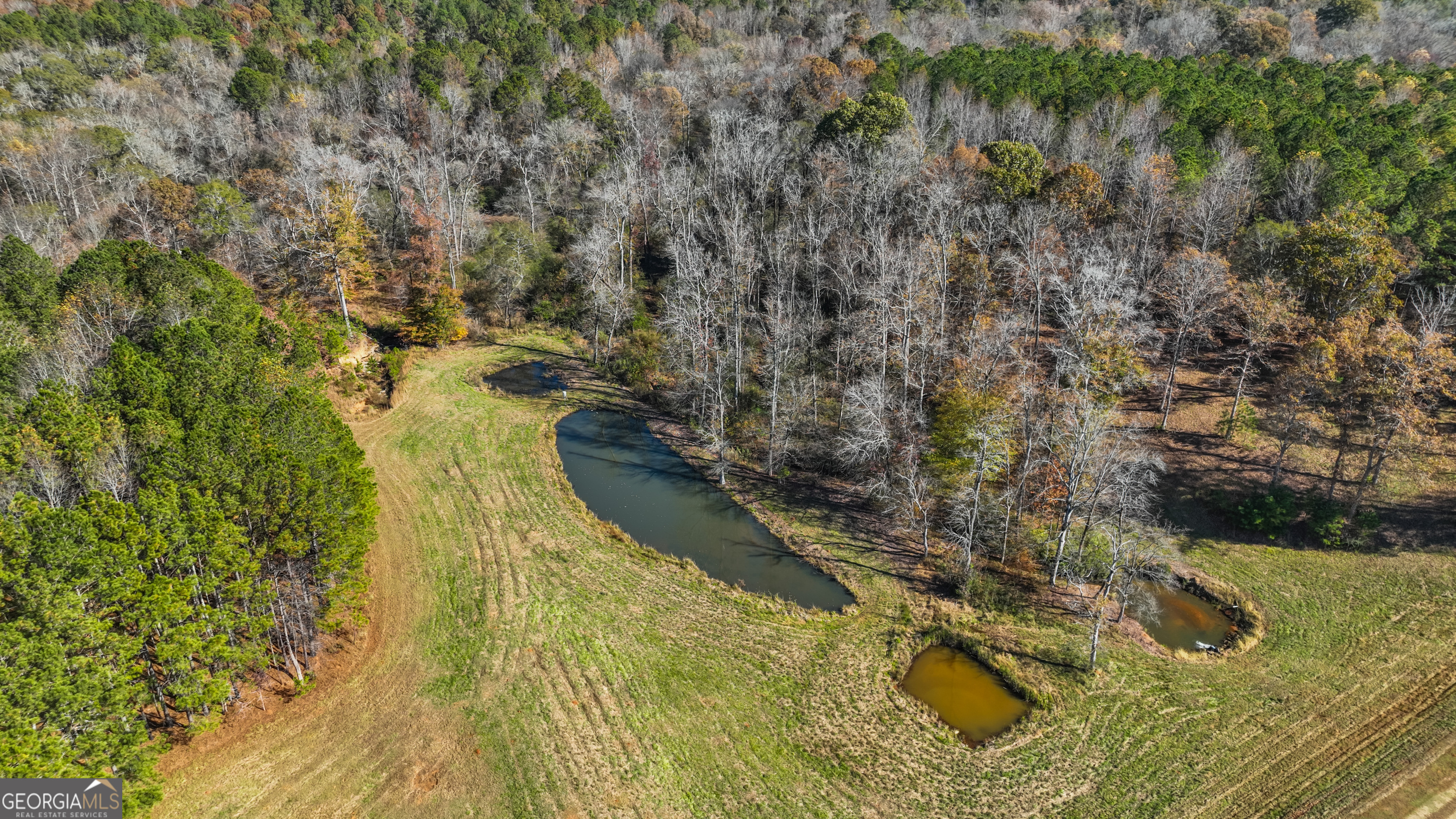 1390 Walker Road Madison, GA 30650 - Photo 31 of 64 a view of swimming pool and mountain view