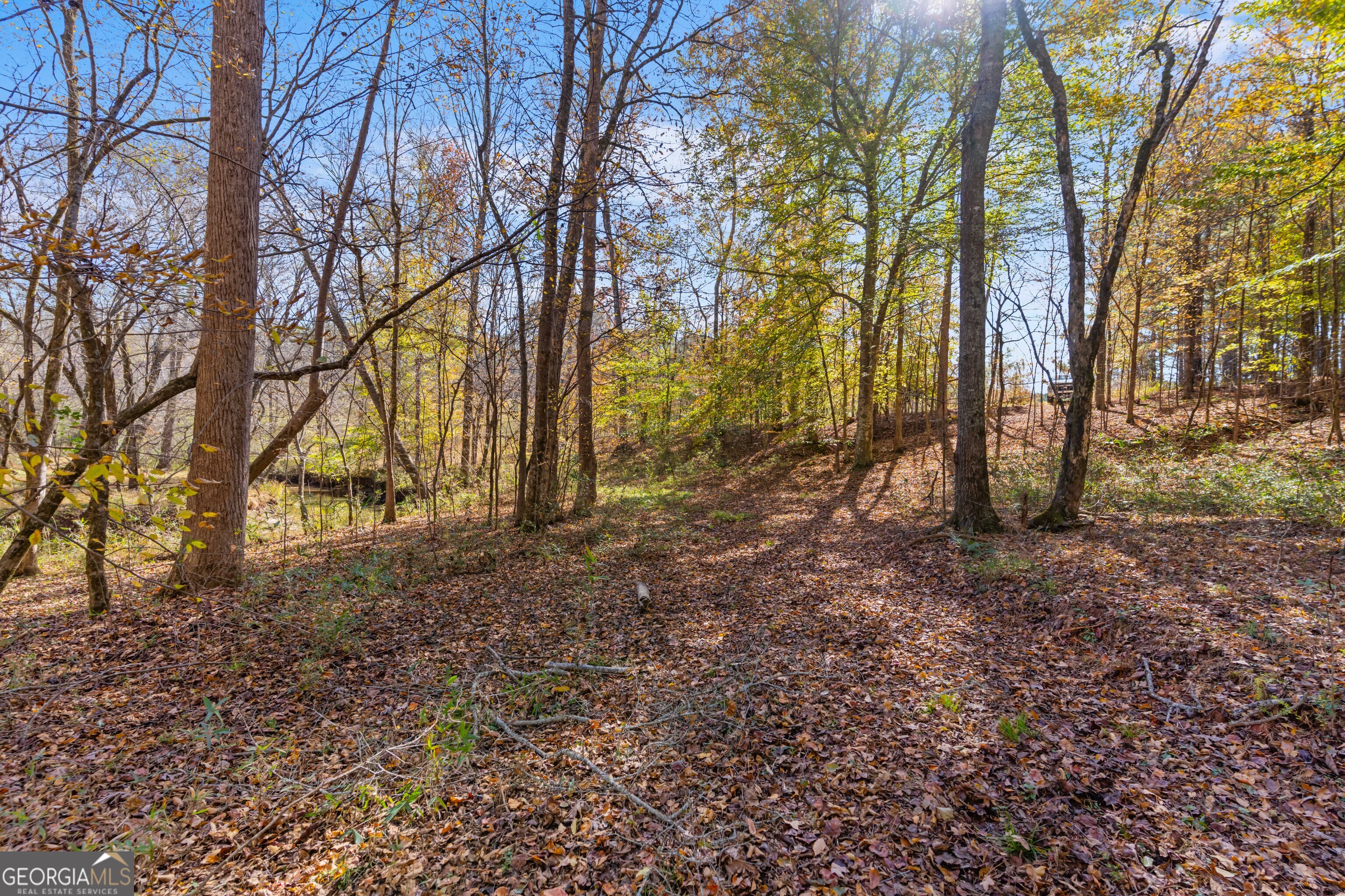 1390 Walker Road Madison, GA 30650 - Photo 34 of 64 a backyard of a house with lots of green space
