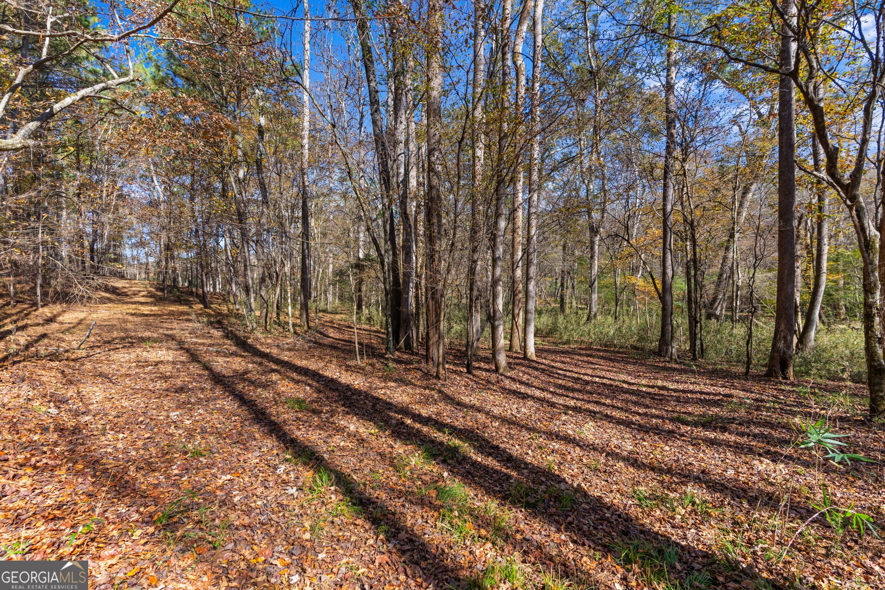 1390 Walker Road Madison, GA 30650 - Photo 35 of 64 a view of a house with a yard