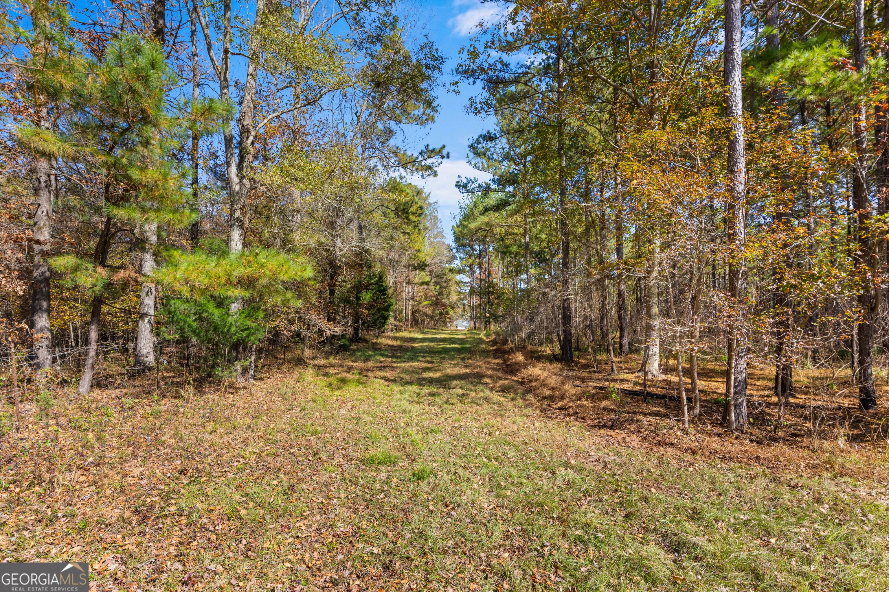 1390 Walker Road Madison, GA 30650 - Photo 37 of 64 a view of outdoor space